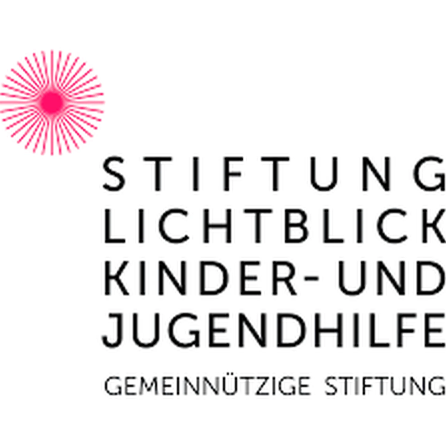 Stiftung logo